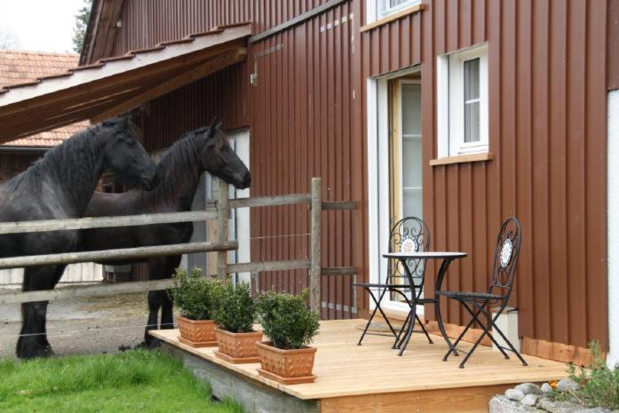 Bnb Haag Exteriör bild