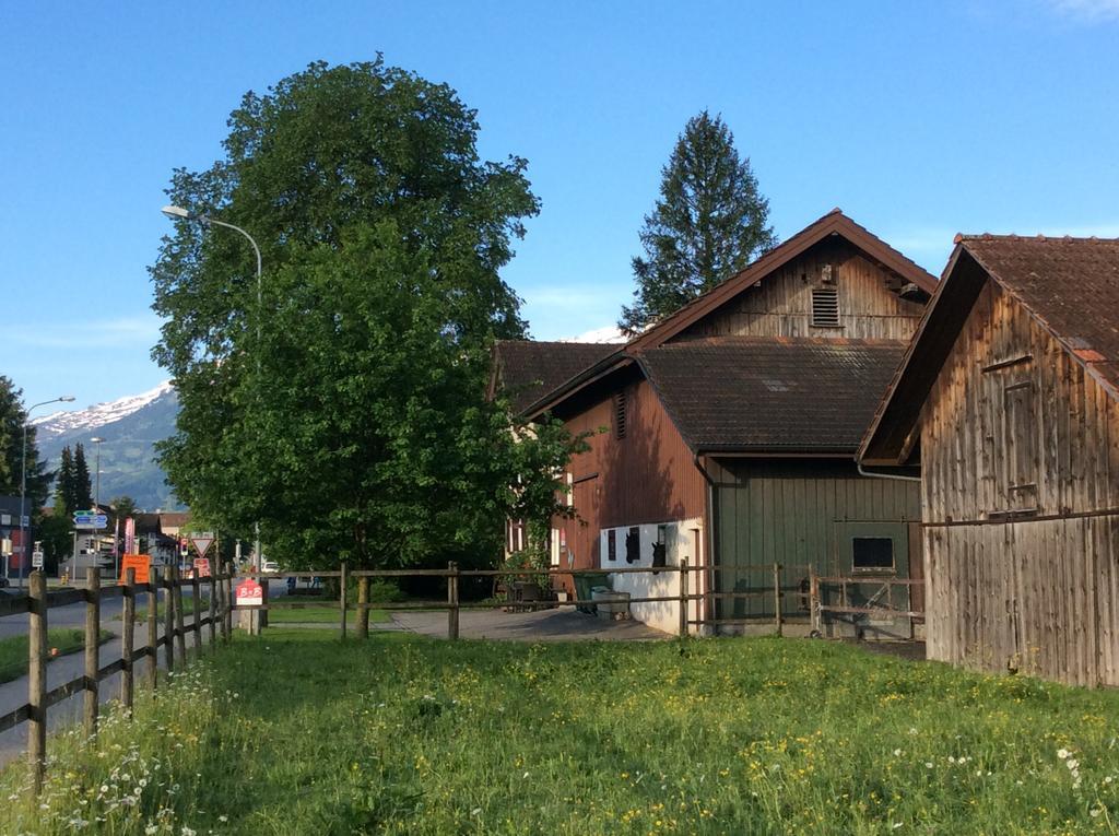 Bnb Haag Exteriör bild